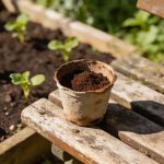 Le marc de café finit toujours à la poubelle, alors que le jardin en a désespérément besoin