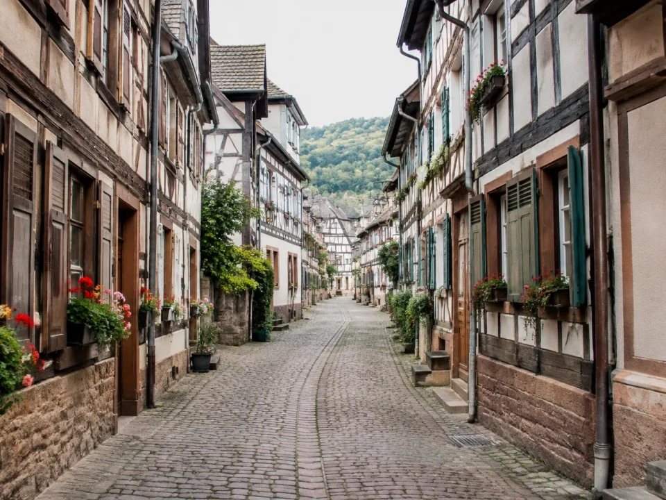 Rue pavee bordee de maisons a colombages